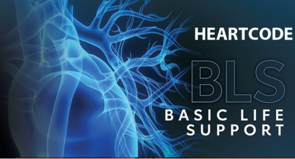 AHA Heartcode BLS Provider Course - 04 / 12/ 2023 -  8:00 Am